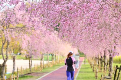 🌳 구다마쓰 공원 이미지 2